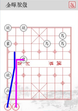 被一只工作犬给帅到了